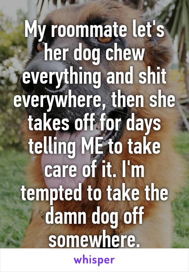 My roommate let's her dog chew everything and shit everywhere, then she takes off for days telling ME to take care of it. I'm tempted to take the damn dog off somewhere.