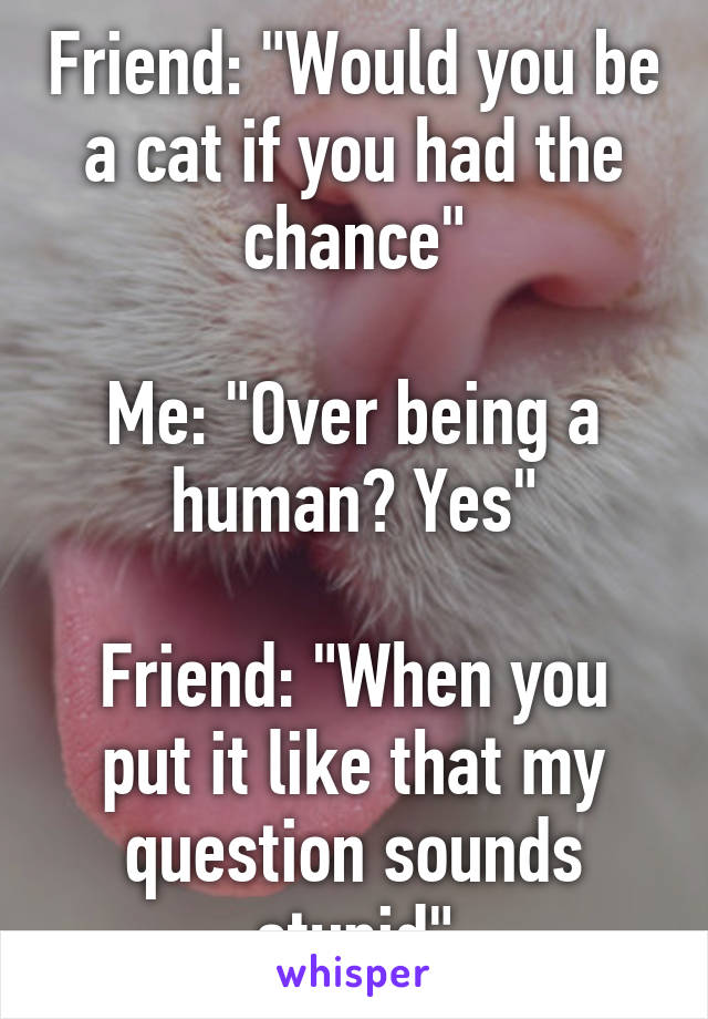 Friend: "Would you be a cat if you had the chance"

Me: "Over being a human? Yes"

Friend: "When you put it like that my question sounds stupid"