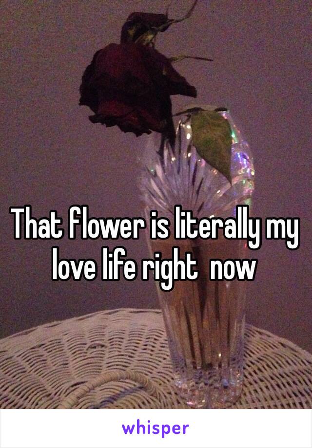 That flower is literally my love life right  now 