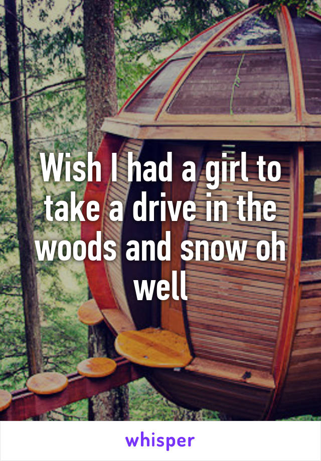 Wish I had a girl to take a drive in the woods and snow oh well