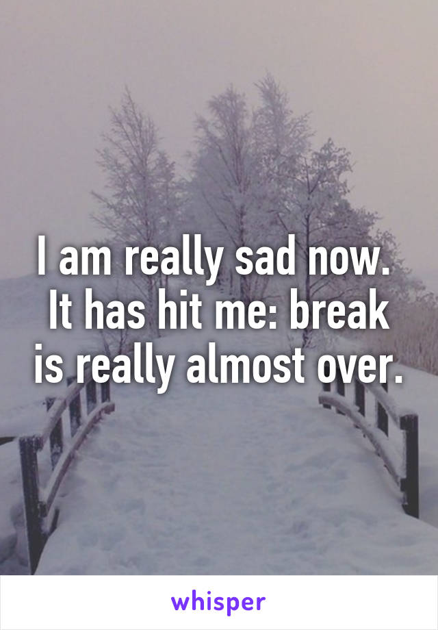 I am really sad now.  It has hit me: break is really almost over.