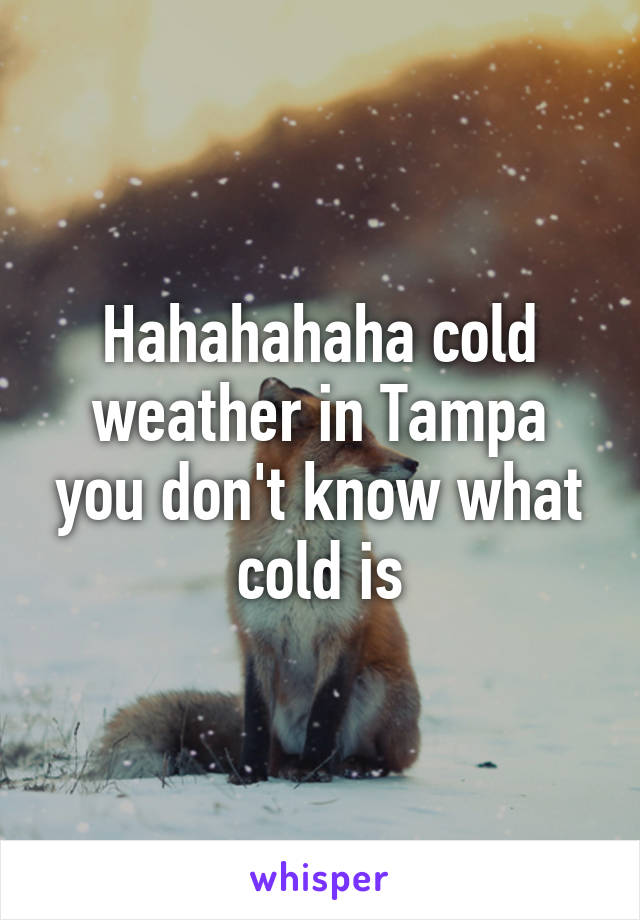 Hahahahaha cold weather in Tampa you don't know what cold is