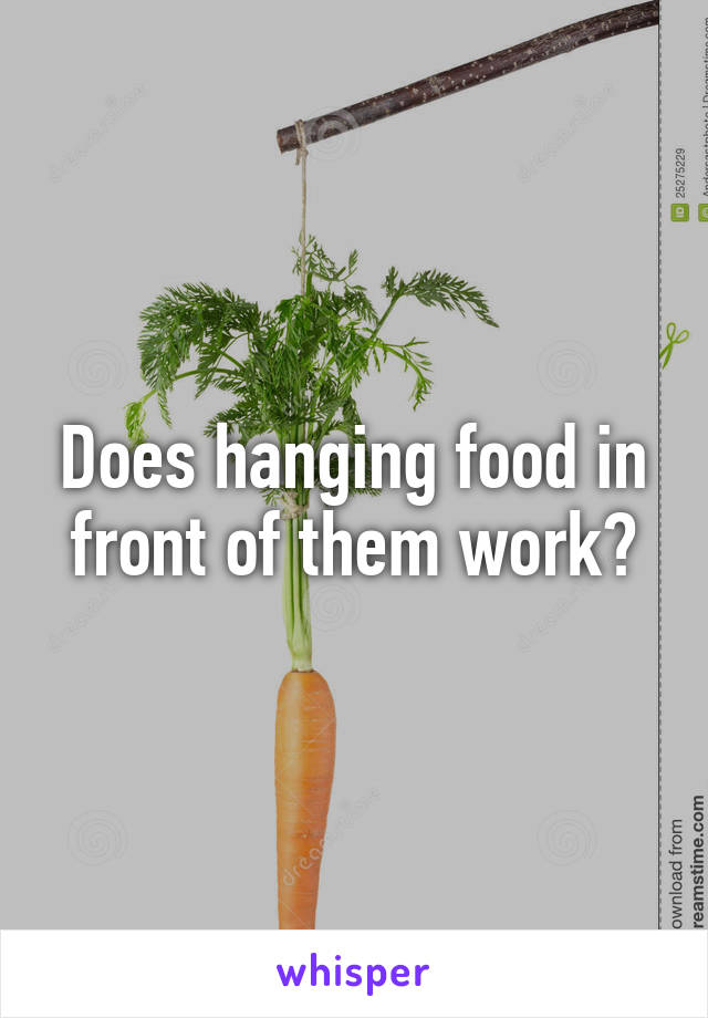 Does hanging food in front of them work?