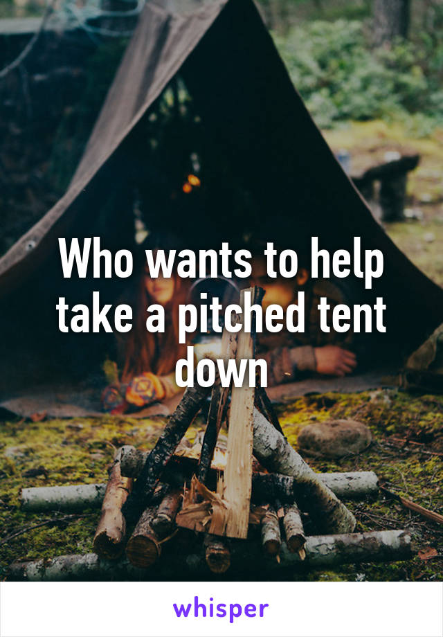 Who wants to help take a pitched tent down