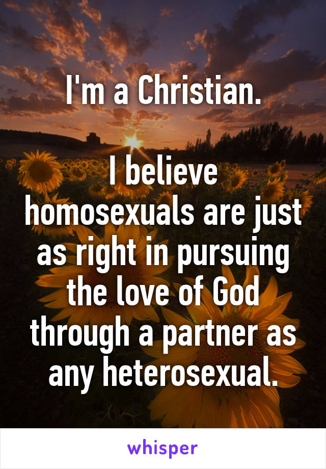 I'm a Christian.

I believe homosexuals are just as right in pursuing the love of God through a partner as any heterosexual.