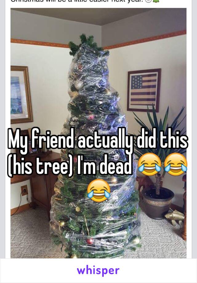 My friend actually did this (his tree) I'm dead 😂😂😂