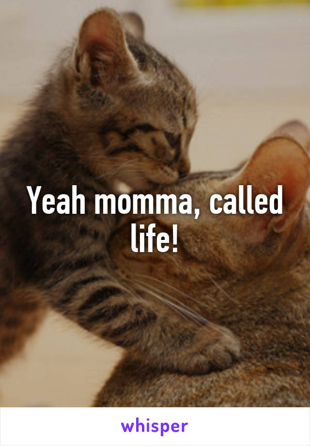 Yeah momma, called life!