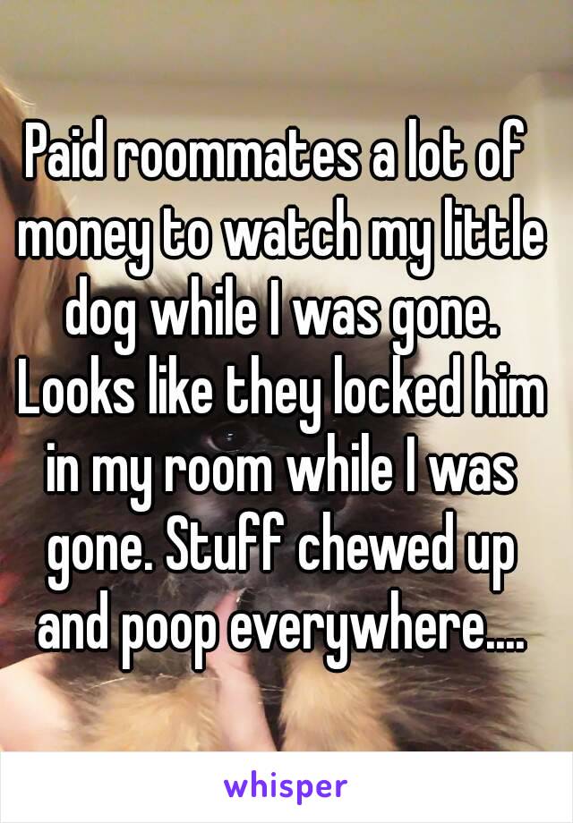 Paid roommates a lot of money to watch my little dog while I was gone. Looks like they locked him in my room while I was gone. Stuff chewed up and poop everywhere....