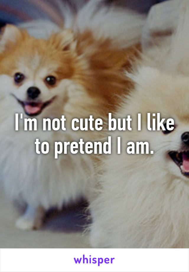 I'm not cute but I like to pretend I am.