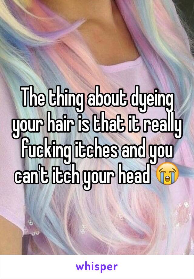 The thing about dyeing your hair is that it really fucking itches and you can't itch your head 😭