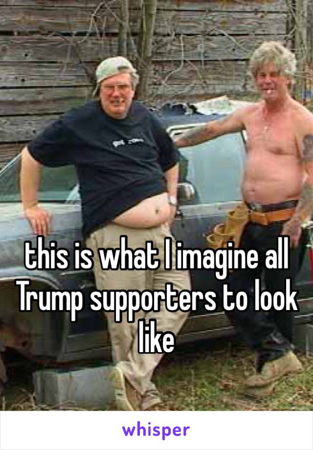 this is what I imagine all Trump supporters to look like