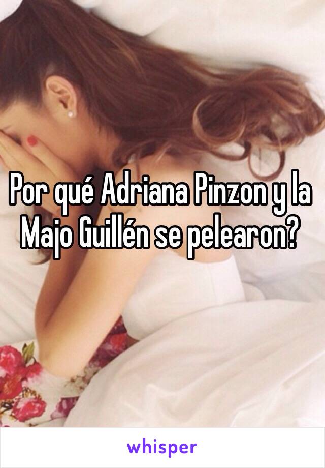 Por qué Adriana Pinzon y la Majo Guillén se pelearon? 