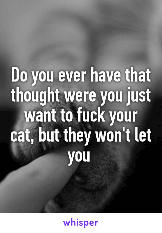 Do you ever have that thought were you just want to fuck your cat, but they won't let you 