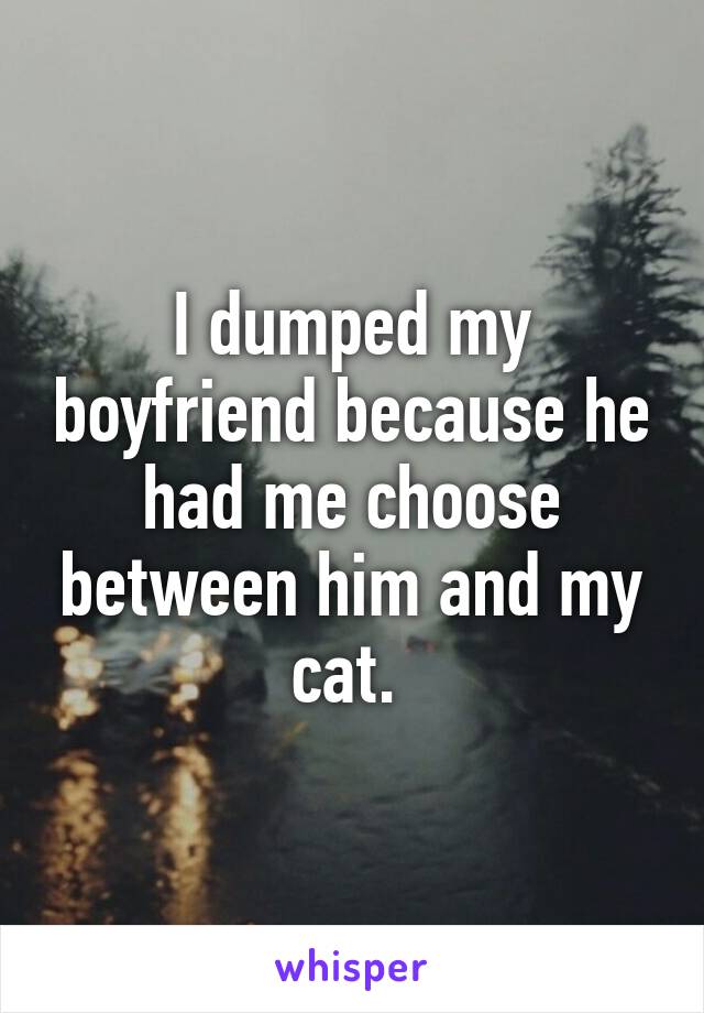 I dumped my boyfriend because he had me choose between him and my cat. 