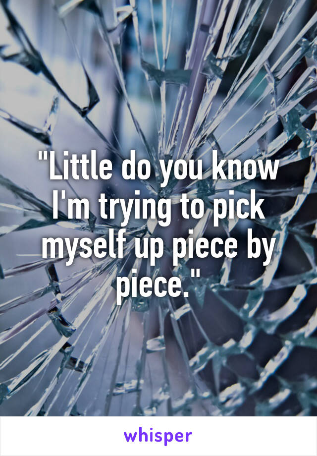 "Little do you know I'm trying to pick myself up piece by piece."