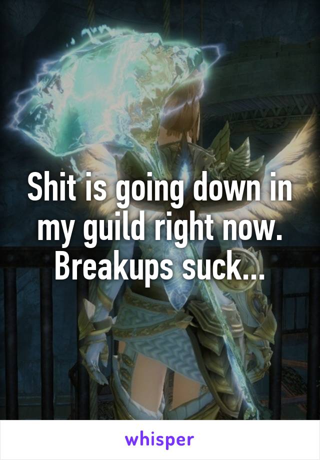 Shit is going down in my guild right now. Breakups suck...