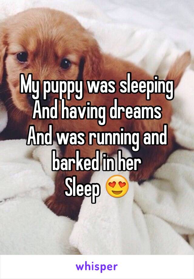 My puppy was sleeping
And having dreams 
And was running and barked in her
Sleep 😍