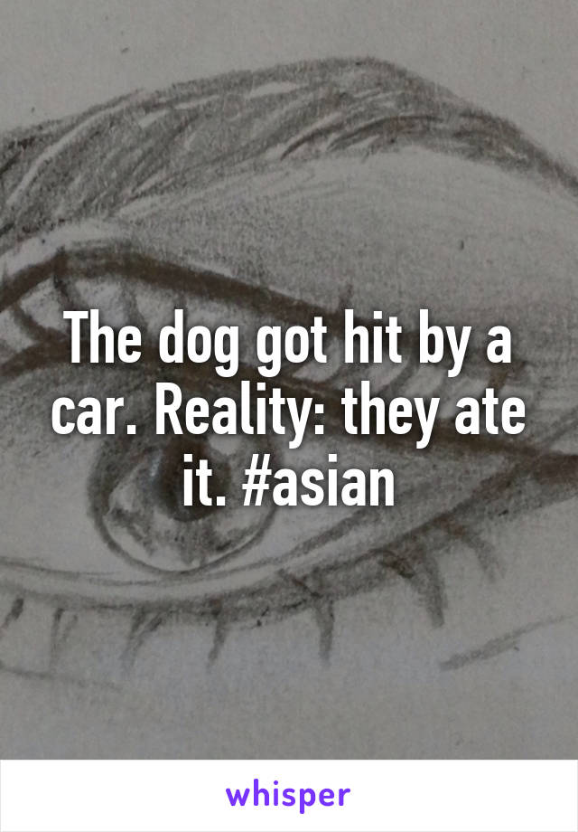 The dog got hit by a car. Reality: they ate it. #asian