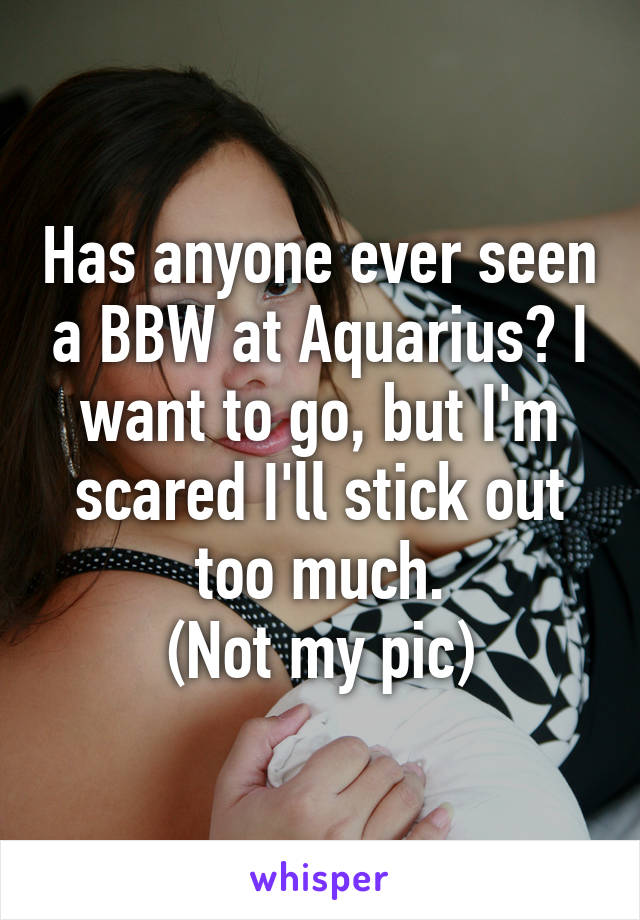 Has anyone ever seen a BBW at Aquarius? I want to go, but I'm scared I'll stick out too much.
(Not my pic)