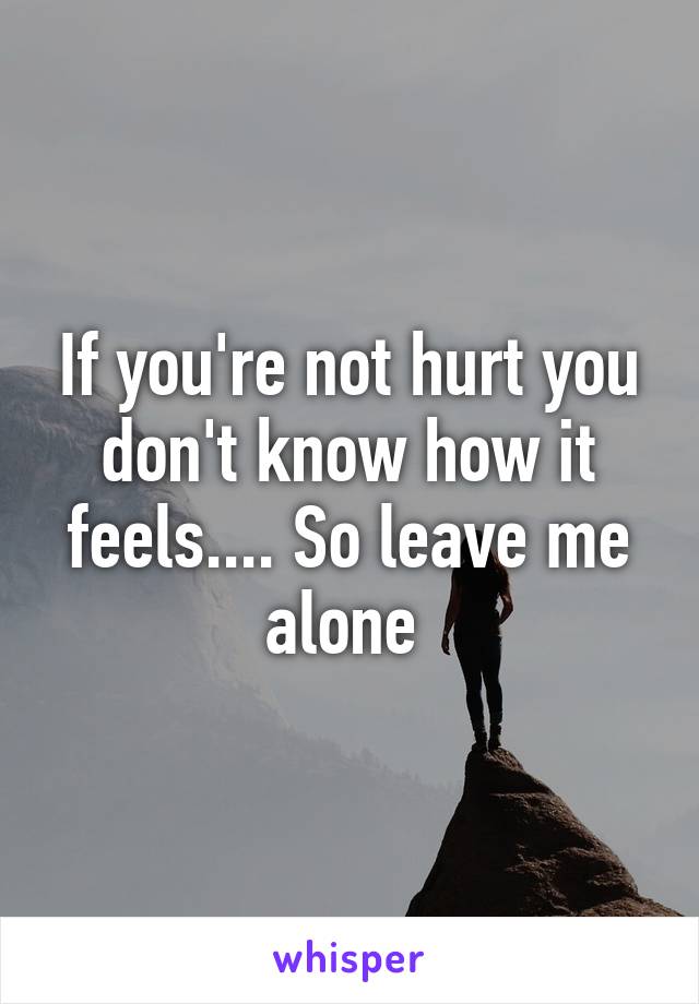 If you're not hurt you don't know how it feels.... So leave me alone 