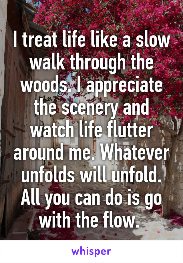 I treat life like a slow walk through the woods. I appreciate the scenery and watch life flutter around me. Whatever unfolds will unfold. All you can do is go with the flow. 