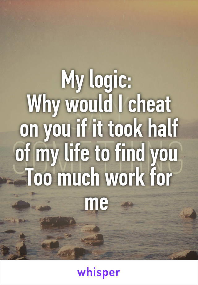 My logic: 
Why would I cheat on you if it took half of my life to find you 
Too much work for me 