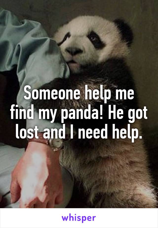 Someone help me find my panda! He got lost and I need help.