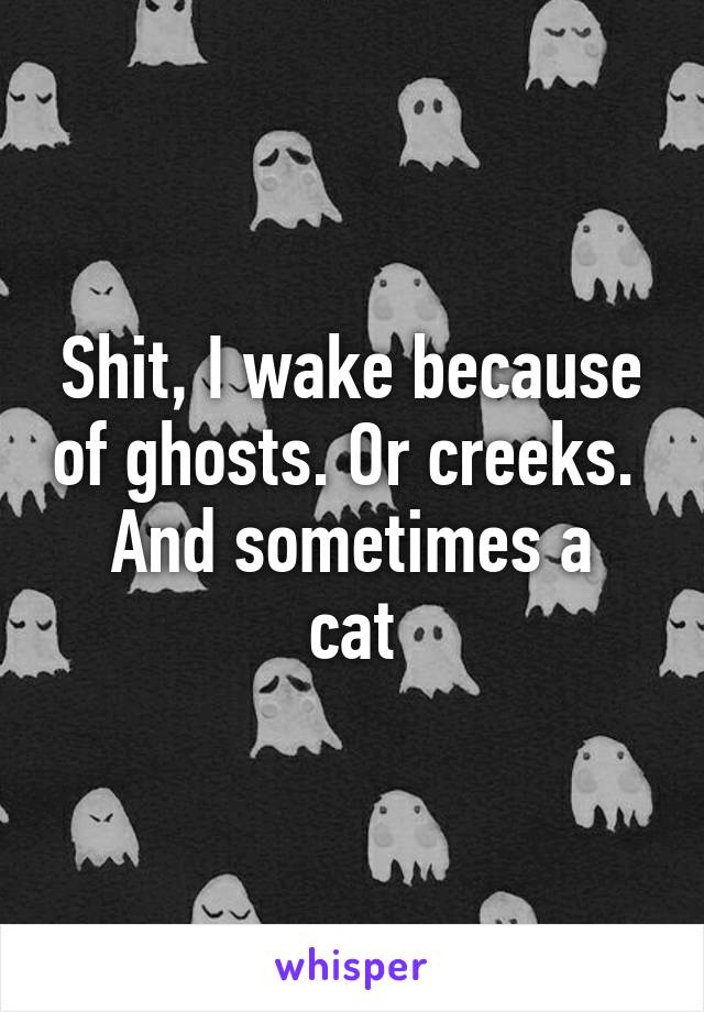 Shit, I wake because of ghosts. Or creeks. 
And sometimes a cat