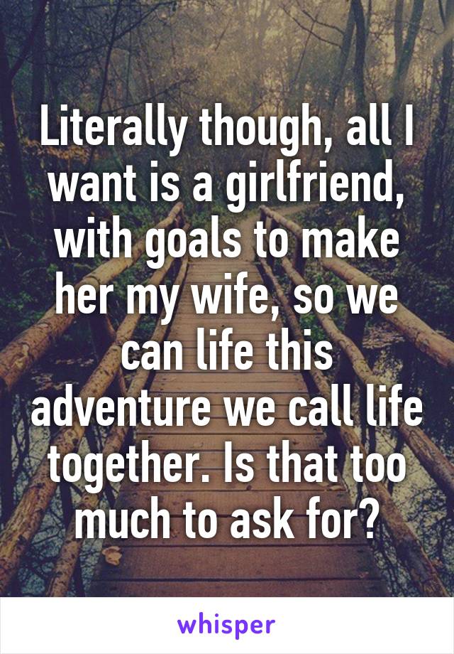 Literally though, all I want is a girlfriend, with goals to make her my wife, so we can life this adventure we call life together. Is that too much to ask for?