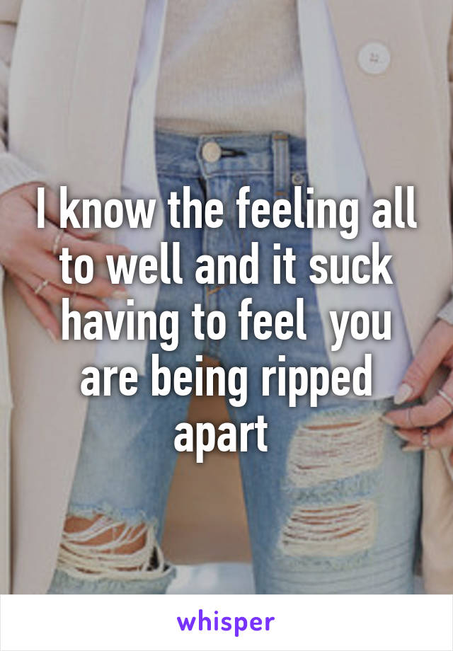 I know the feeling all to well and it suck having to feel  you are being ripped apart 