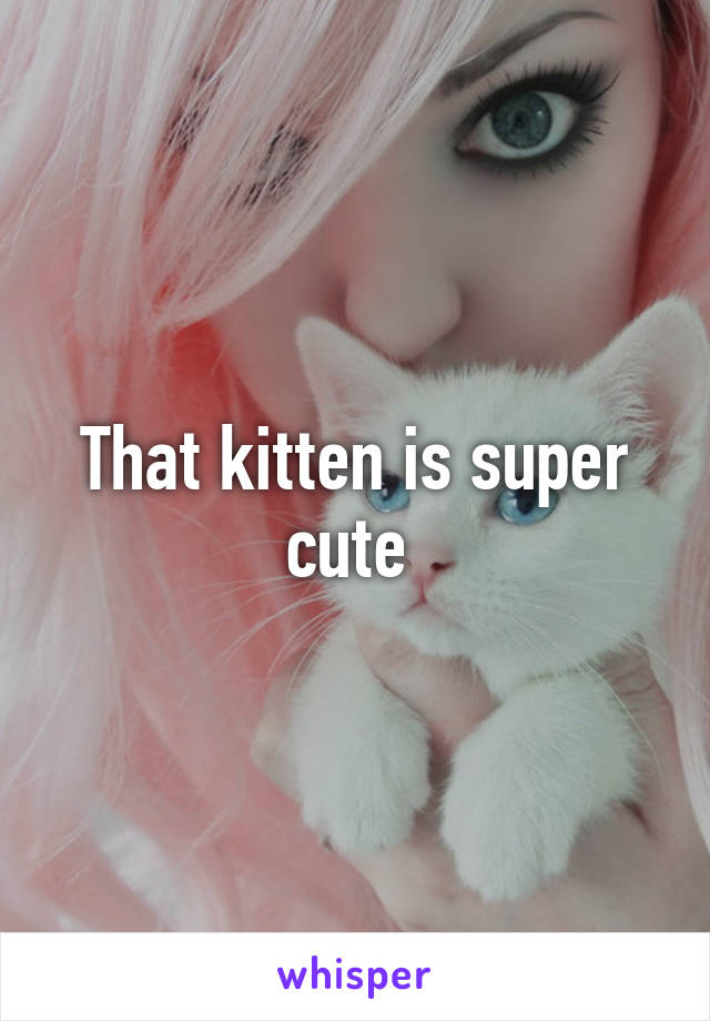 That kitten is super cute 