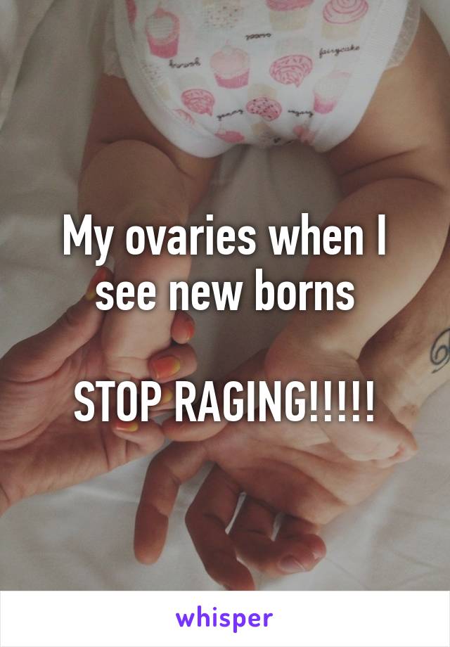 My ovaries when I see new borns

STOP RAGING!!!!!