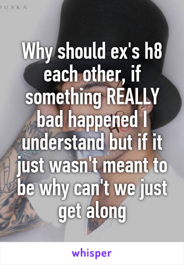 Why should ex's h8 each other, if something REALLY bad happened I understand but if it just wasn't meant to be why can't we just get along