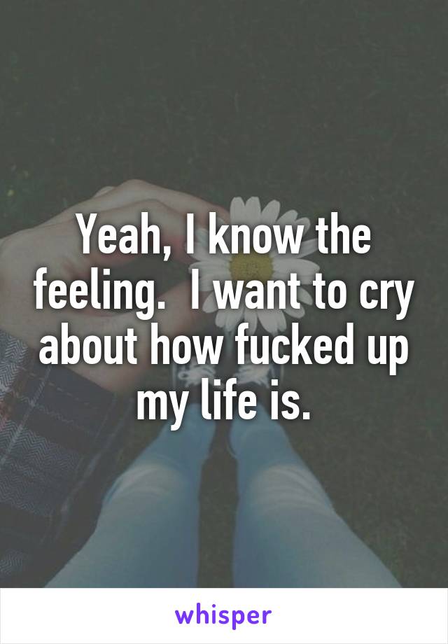 Yeah, I know the feeling.  I want to cry about how fucked up my life is.