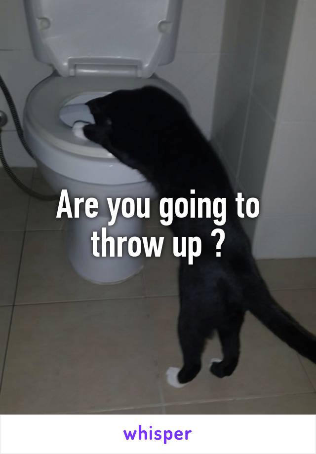 Are you going to throw up ?