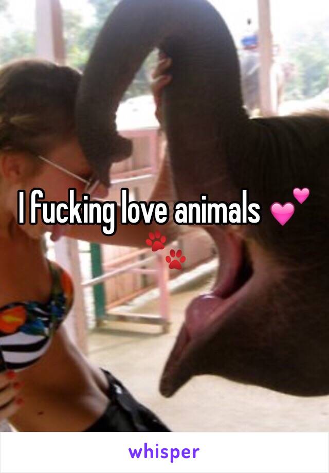 I fucking love animals 💕🐾