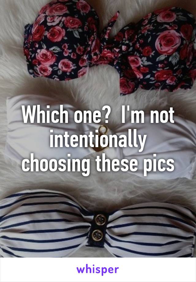 Which one?  I'm not intentionally choosing these pics