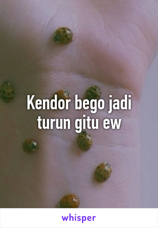 Kendor bego jadi turun gitu ew