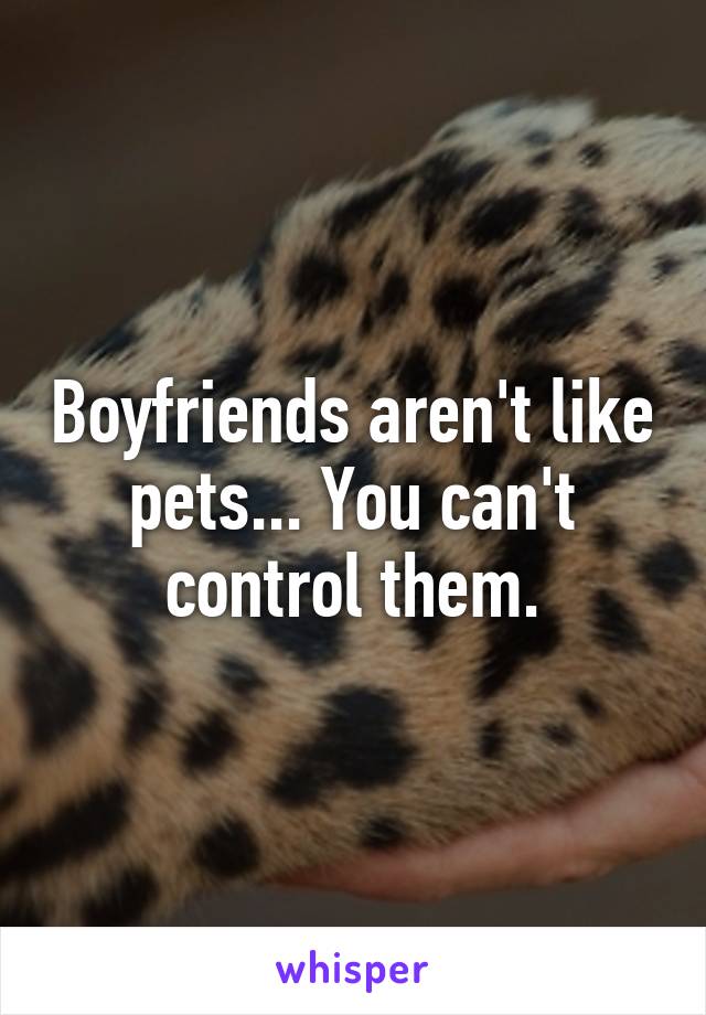 Boyfriends aren't like pets... You can't control them.