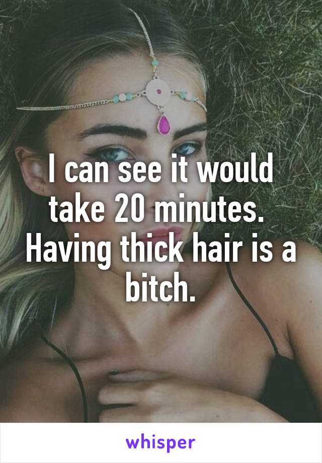 I can see it would take 20 minutes.  Having thick hair is a bitch.