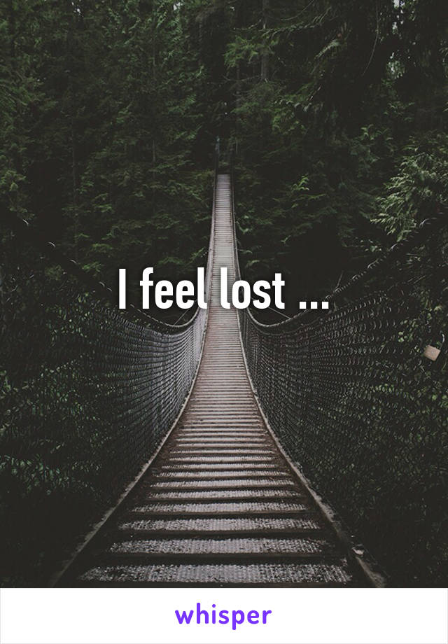 I feel lost ...
