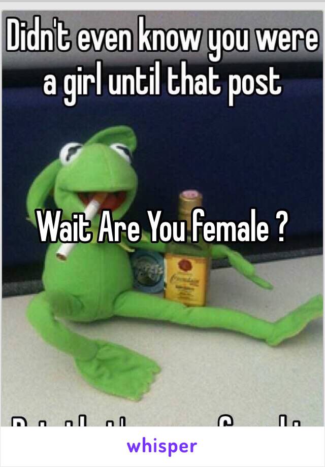 Wait Are You female ?