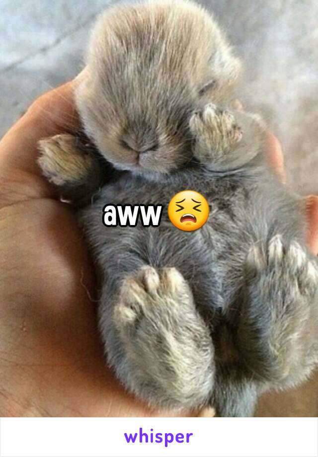 aww😣