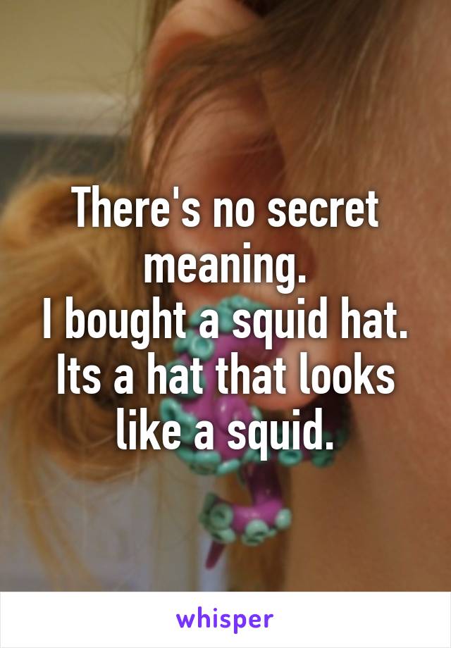 There's no secret meaning.
I bought a squid hat.
Its a hat that looks like a squid.