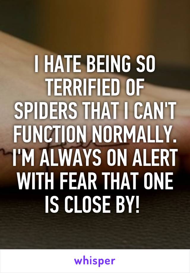 I HATE BEING SO TERRIFIED OF SPIDERS THAT I CAN'T FUNCTION NORMALLY. I'M ALWAYS ON ALERT WITH FEAR THAT ONE IS CLOSE BY! 