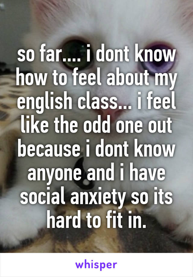 so far.... i dont know how to feel about my english class... i feel like the odd one out because i dont know anyone and i have social anxiety so its hard to fit in.
