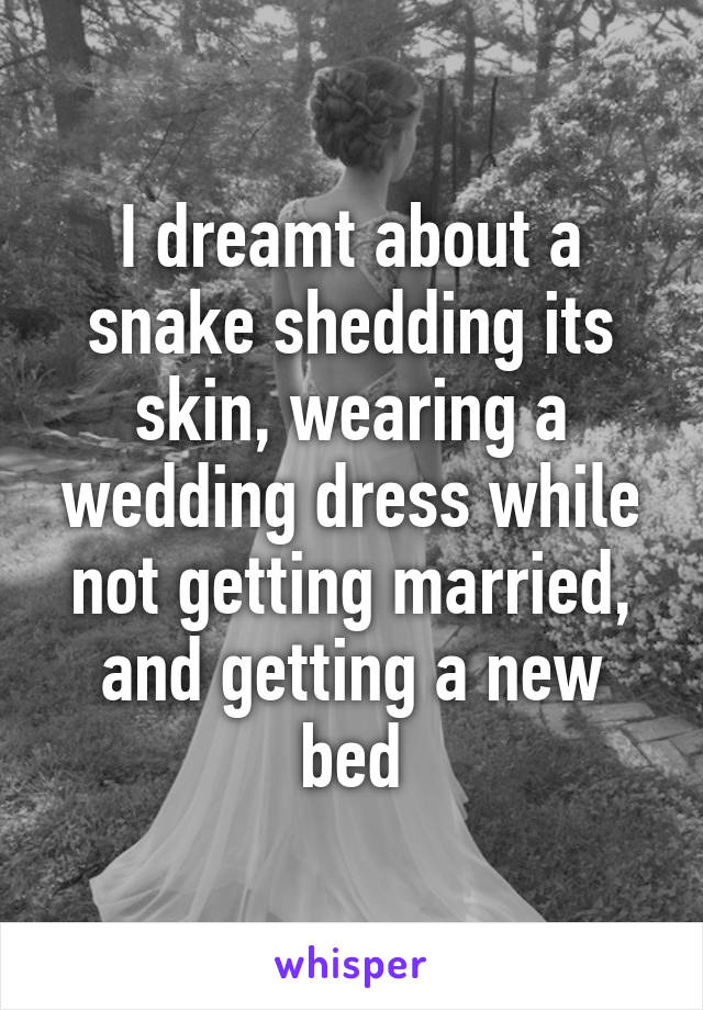 I dreamt about a snake shedding its skin, wearing a wedding dress while not getting married, and getting a new bed
