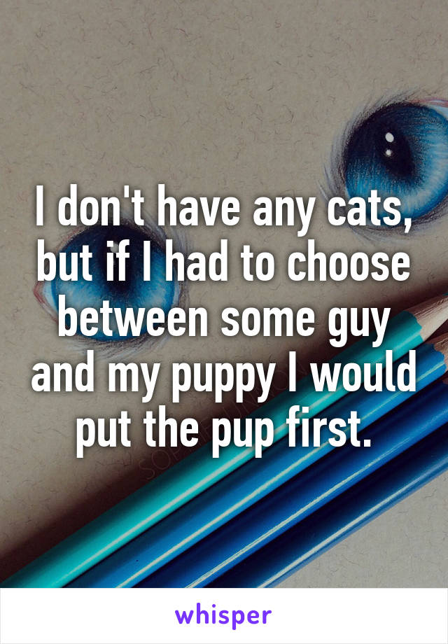 I don't have any cats, but if I had to choose between some guy and my puppy I would put the pup first.