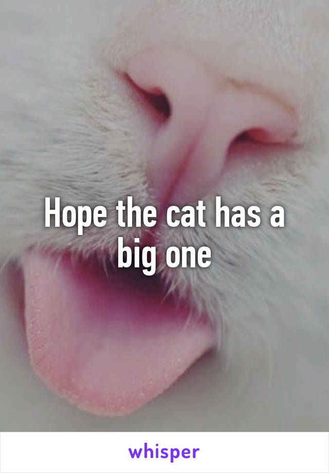 Hope the cat has a big one