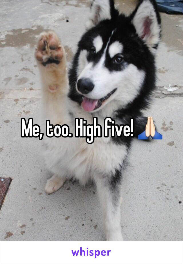 Me, too. High five! 🙏🏻